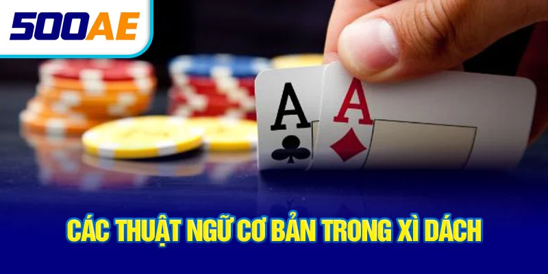 cac-thuat-ngu-co-ban-trong-xi-dach